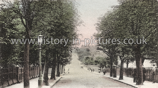 Fairlop Road, Leytonstone, London. c.1905.